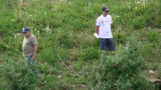 PIC_7029 (1)